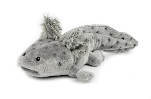 Axolotl grau 30 cm